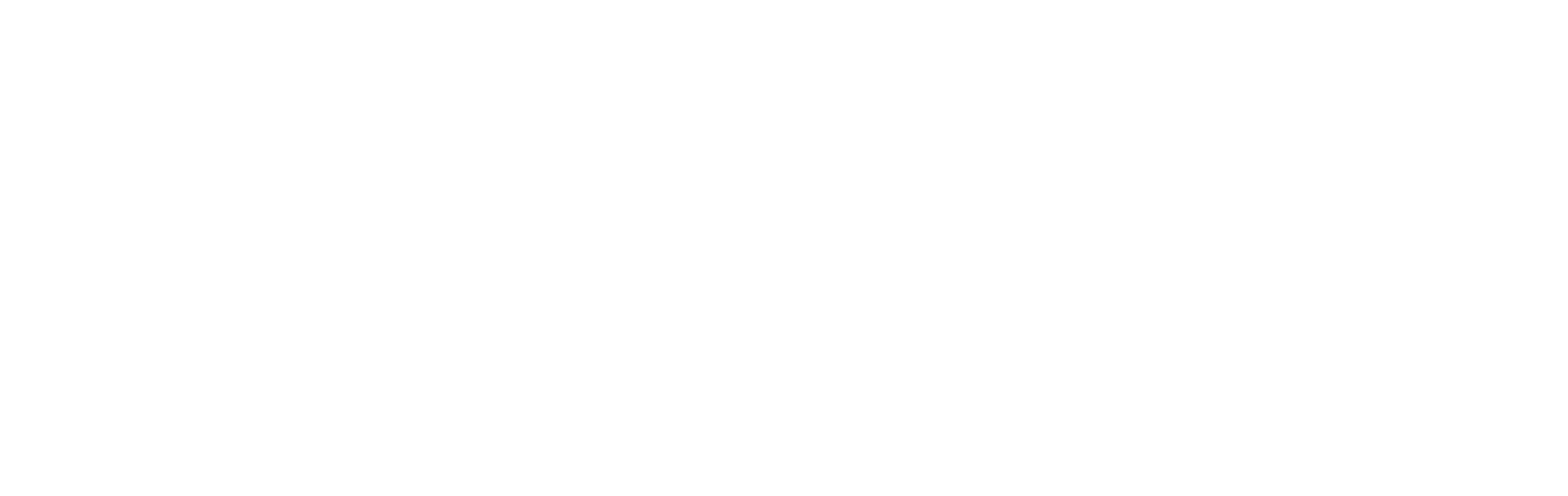 Lewcore Solutions